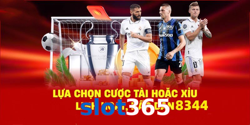 Danh mục đa dạng, đoán chuẩn là nhận tiền