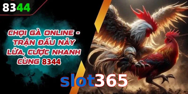 Đá gà slot365 có rất nhiều ưu điểm vượt trội so với sân chơi khác